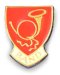 Band Lapel Pins