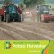 Potato Harvester
