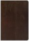 CSB She Reads Truth Bible, Brown Genuine Leather, Indexed