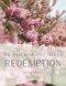 The Well Read Bible Project | Spring Edition: Redemption