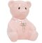 Teddy Money Box & Cross Pink