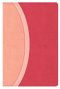 CSB Rainbow Study Bible, Pink Leathertouch