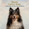 Diesel's Forever Home : A Gentle Story of Love, Loss, and Heaven