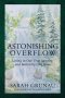 Astonishing Overflow: Living in Our True Identity and Authority Like Jesus