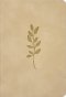 NLT Premium Value Compact Bible, Filament Enabled (LeatherLike, Ivory Vine)
