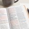 CSB Large Print Personal Size Reference Bible, Optimal Type, Digital Study Edition, Brown Floral LeatherTouch