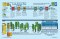 Ultimate Infographic Guide to the Bible