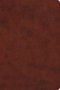 ESV Gospel Transformation Study Bible, TruTone, Chestnut Brown