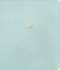 NLT Every Woman's Bible, Journaling Edition, Filament Enabled (LeatherLike, Seafoam Blue, Indexed, Red Letter)