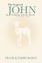 The Gospel of John A Commentary on the New Testament Volume 1