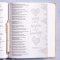 CSB Illustrator's Notetaking Bible, Large Print Edition