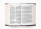 ESV Giant Print Personal Size Bible (TruTone, Chestnut)