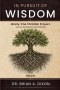 In Pursuit of Wisdom: Ninety-One Christian Prayers Across the Realms of Chokmah
