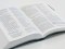 NLT Holy Bible, Sage Green Flexiback, Leather-Feel, Debossed Detailing, British Text, NLT New Living Translation, Flexiback, Standard size