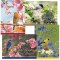 Boxed Card-Prayerful Melodies Assorted (KJV) (Box Of 12)