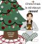 Christmas is All About Jesus!: Keeping Christ at the Center of Christmas