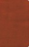 CSB Single-Column Personal Size Reference Bible, Sienna