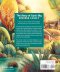 God's Colourful Kingdom Storybook Bible