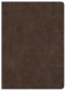 CSB Lumen Dei Bible, Lux Gloriae: Single-Column Wide-Margin