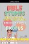 Bible Class for Youth and Adults: Beginner's Guide: Exodus