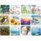 Pack of 12 Christian coasters (C498)