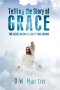 Telling the Story of Grace: The Revelation of God's Two Adams