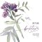 Lilac Baptism Card