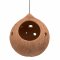Globe Ceramic Air Plant Hanger