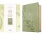NLT Every Woman's Bible, Filament Enabled (LeatherLike, Olive Branch Green, Red Letter)