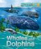 Explorers: Whales And Dolphins