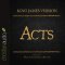 Holy Bible in Audio - King James Version: Acts