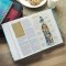 The Discovery Bible (NLT)