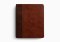 ESV Journaling Bible, Red Letter (TruTone, Brown/Tan, Timeless Design)