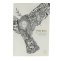 NLT  Anglicised, Bible, White, Paperback, Gold Embossed Cover, Lay-Flat Binding, Contemporary Language