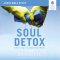 Soul Detox Bible Study: Audio
