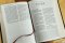 Amplified Large Print Holy Bible: Burgundy, Bonded Leather,
