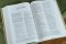 The Amplified Topical Reference Bible