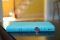 NIV, Value Thinline Bible, Imitation Leather, Blue
