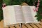 NIV, Artisan Collection Bible, Cloth over Board, Teal Floral, Designed Edges under Gilding, Red Letter, Comfort Print