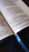NIV, Reference Bible, Deluxe Single-Column, Premium Goatskin Leather, Black, Premier Collection, Black Letter, Art Gilded Edges, Comfort Print
