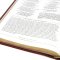 NRSV, The C. S. Lewis Bible, Leathersoft, Brown, Comfort Print