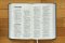 NIV, Bible for Teens, Thinline Edition, Leathersoft, Blue, Red Letter, Comfort Print