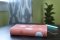 NIV, Teen Study Bible (For Life Issues You Face Every Day), Compact, Leathersoft, Peach, Comfort Print