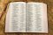 NIV, Personal Size Bible, Large Print, Genuine Leather, Buffalo, Brown, Red Letter, Art Gilded Edges, Comfort Print