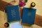 NIV Radiant Virtues Bible & Journal Gift Set: A Beautiful Word Collection (Comfort Print)-Hardcover