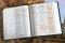 NIV Radiant Virtues Bible & Journal Gift Set: A Beautiful Word Collection (Comfort Print)-Hardcover