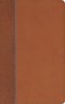 NIV, Quest Study Bible for Teens, Leathersoft, Brown, Comfort Print