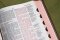 KJV, Thompson Chain-Reference Bible, Genuine Leather, Calfskin, Brown, Red Letter, Thumb Indexed, Comfort Print