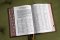 KJV, Thompson Chain-Reference Bible, Genuine Leather, Calfskin, Brown, Red Letter, Thumb Indexed, Comfort Print