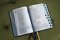 NIV, Life Application Study Bible, Third Edition, Genuine Leather, Cowhide, Black, Art Gilded Edges, Red Letter, Thumb Indexed